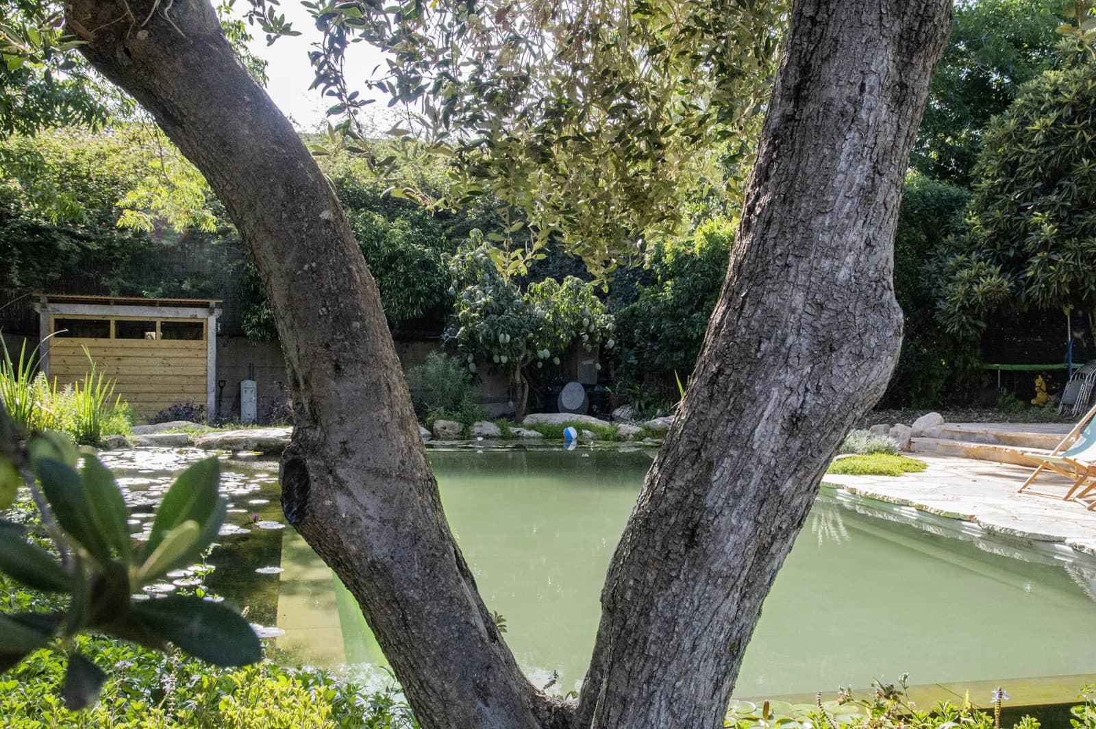 Liner piscina PVC Haogenplast Natural Pools Eco Green - Imagine Galerie 4 PiscinEcom