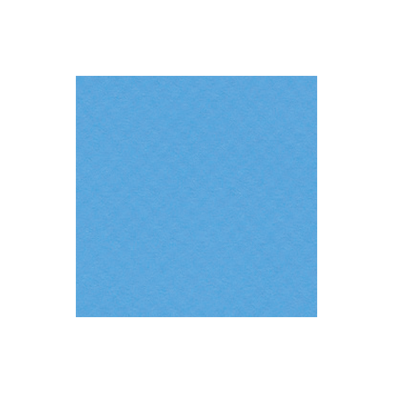SopremaPool One